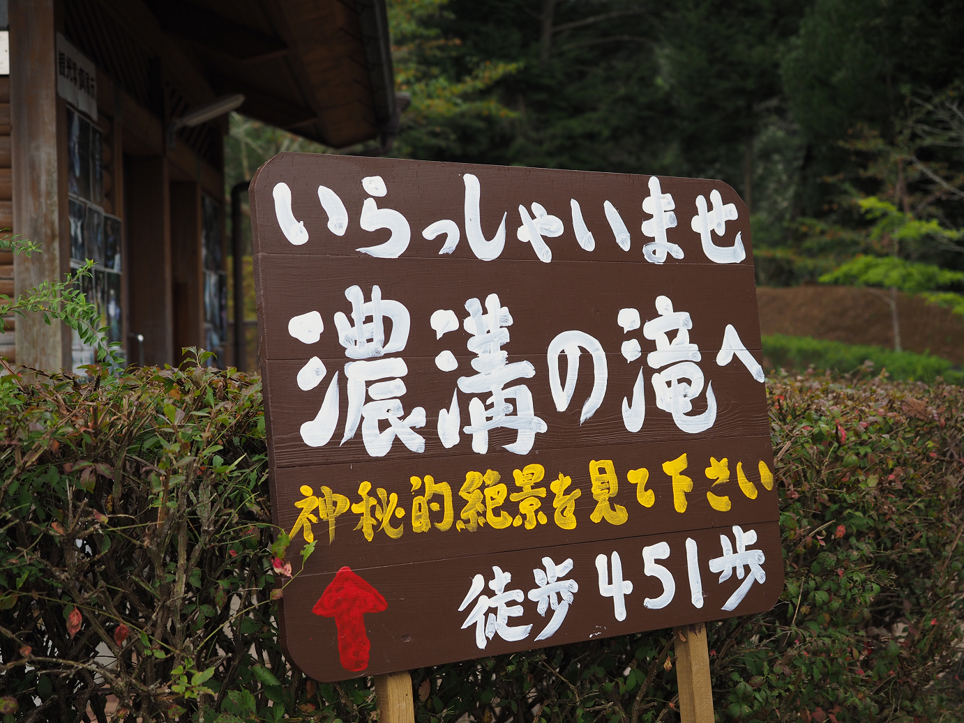 PA080140.jpg
