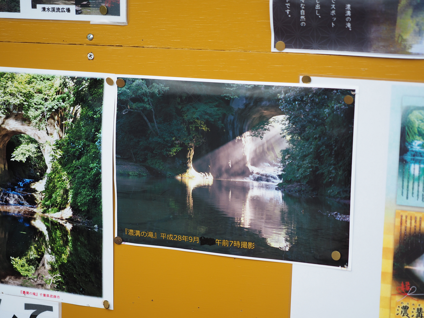 PA080141.jpg
