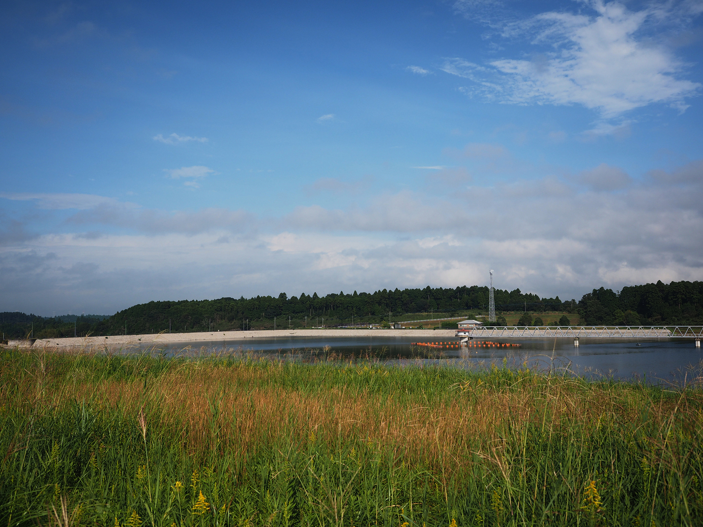 PA080285.jpg