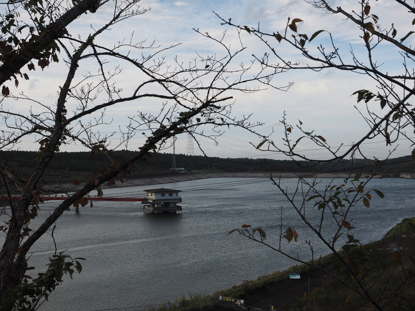 PA080301.jpg