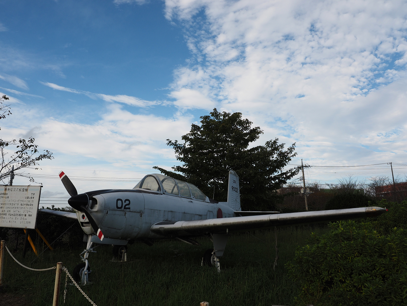 PA080311.jpg