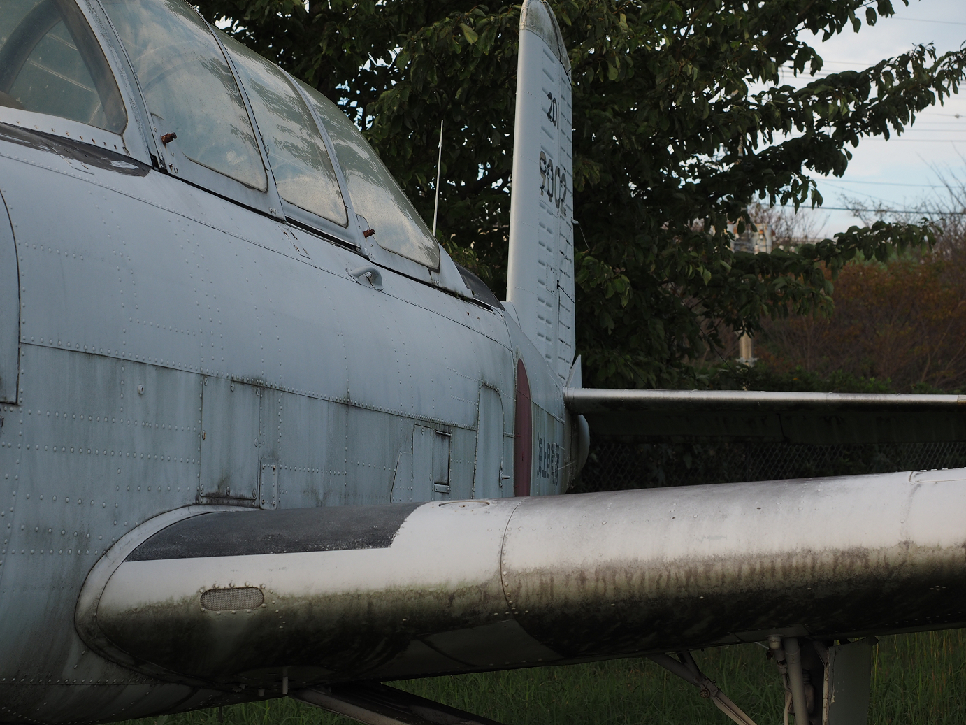 PA080315.jpg