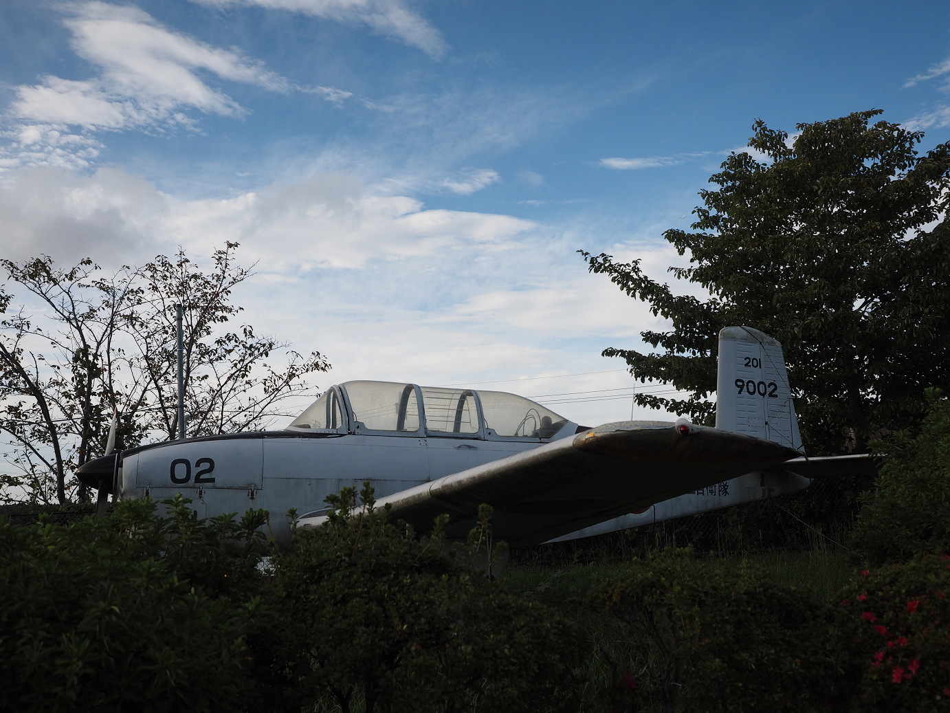 PA080320.jpg