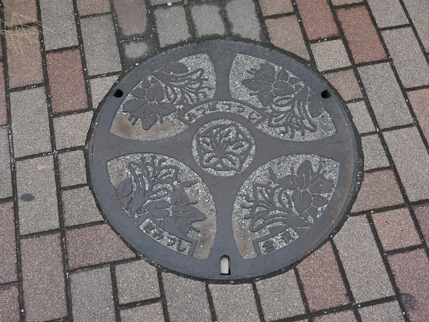 PA090473.jpg