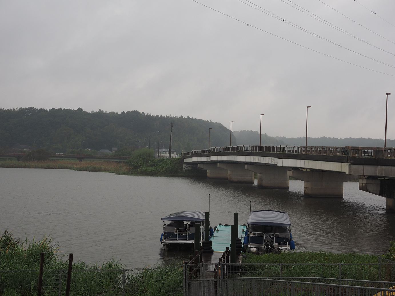 PA090508.jpg
