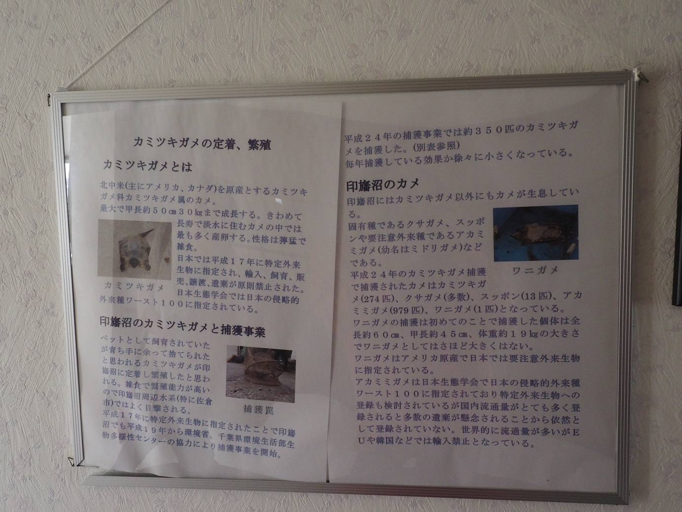 PA090512.jpg