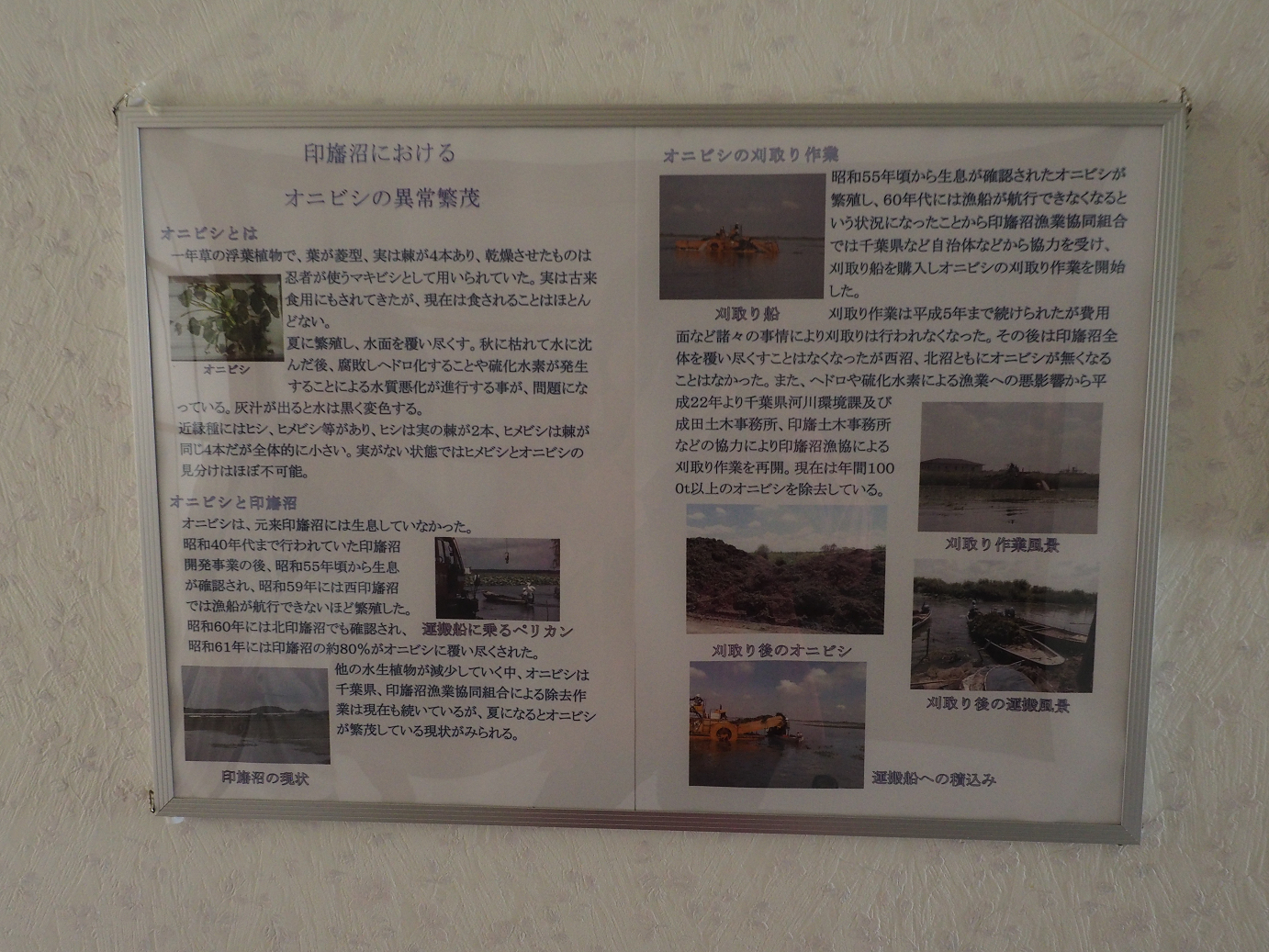 PA090513.jpg