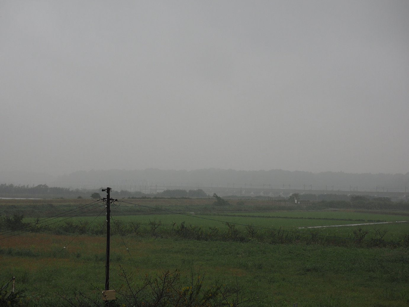PA090528.jpg