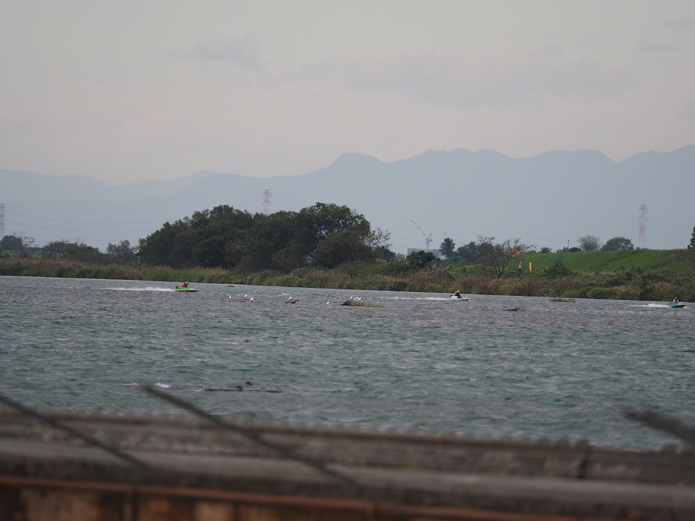 PA090554.jpg