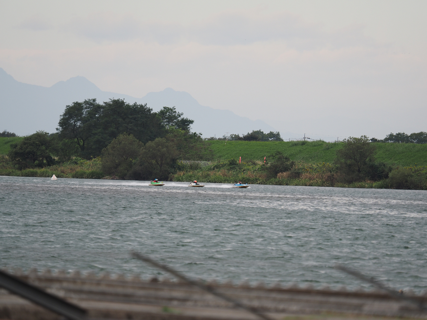 PA090555.jpg