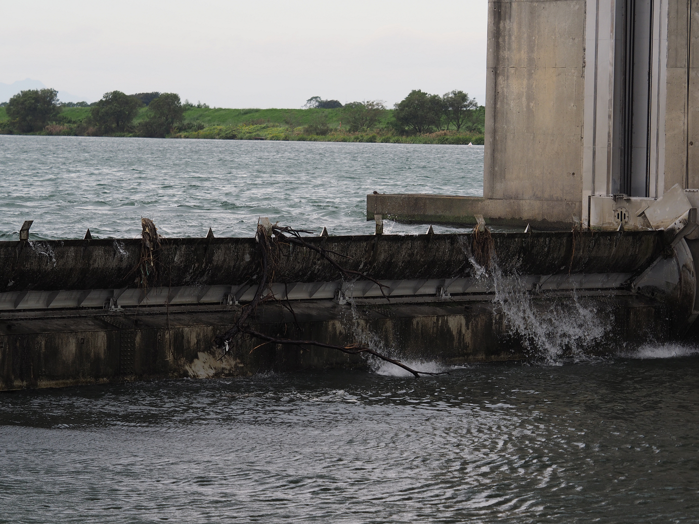 PA090566.jpg