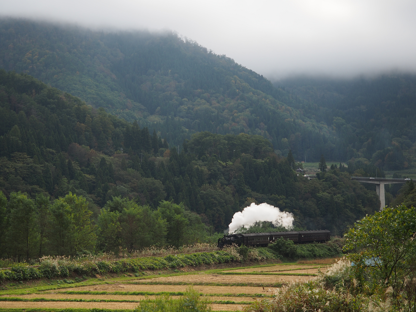 PA190076.jpg