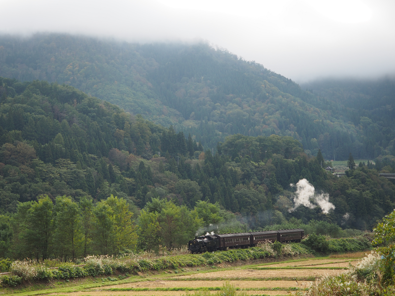 PA190083.jpg