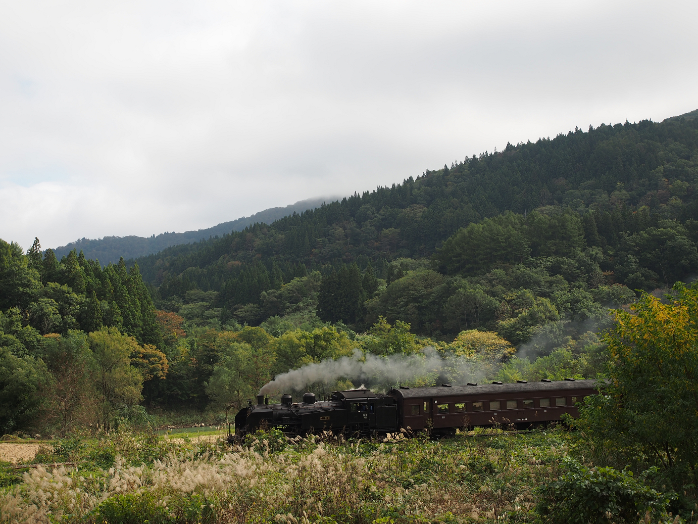 PA190086.jpg