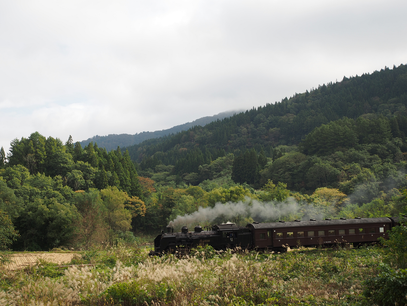PA190090.jpg