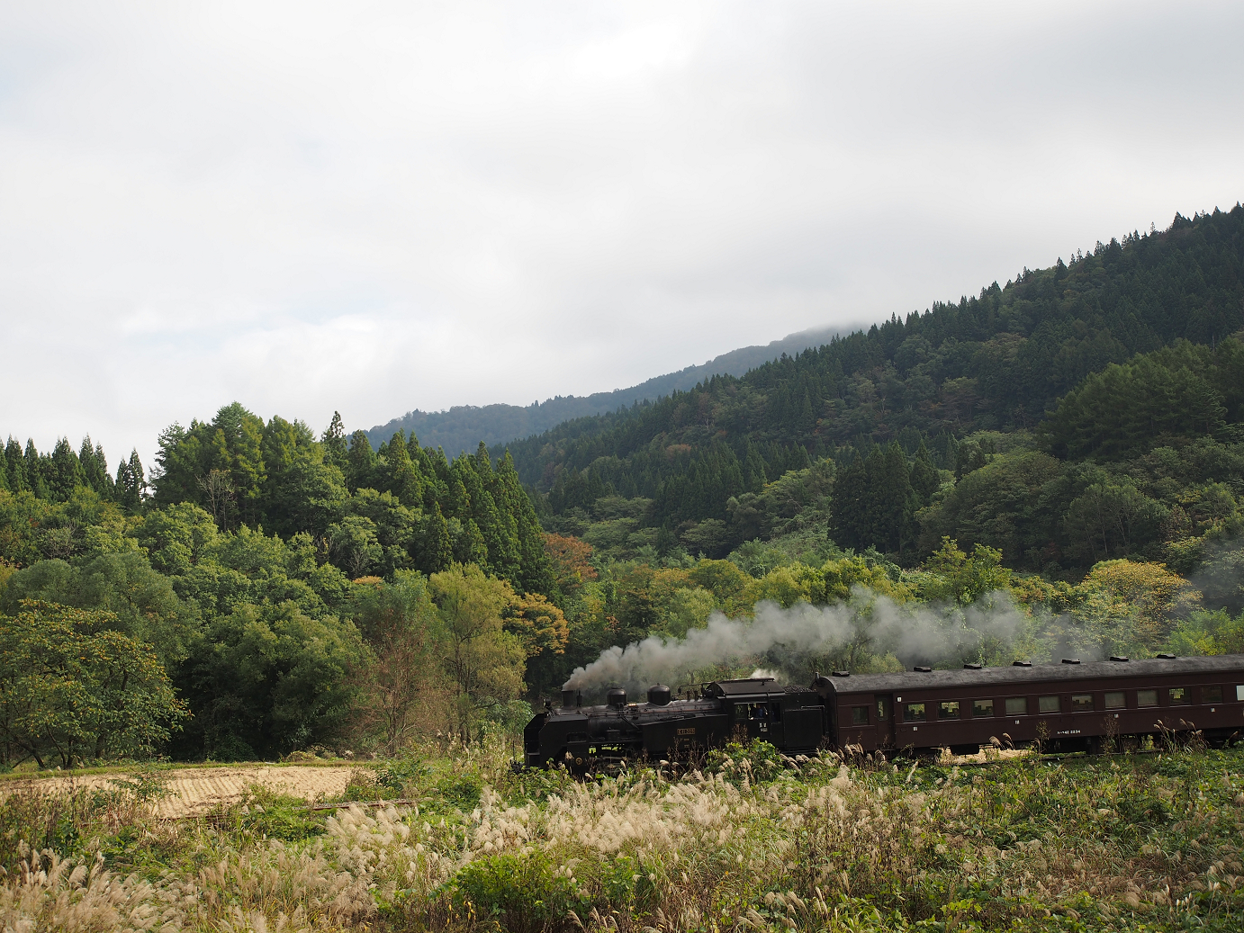 PA190093.jpg