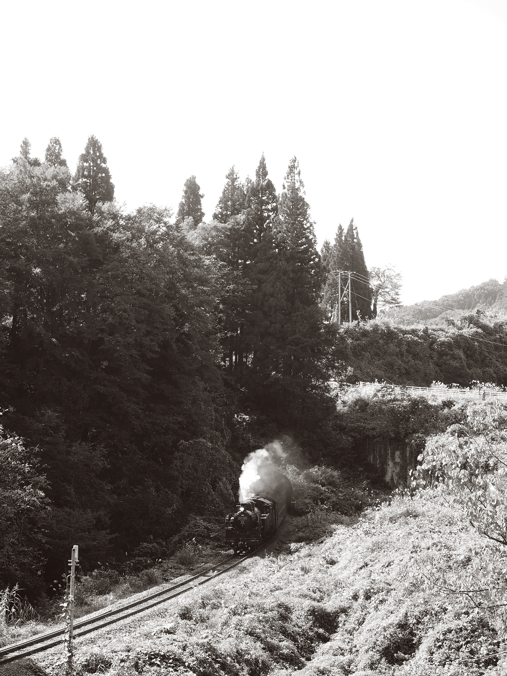 PA190113.jpg