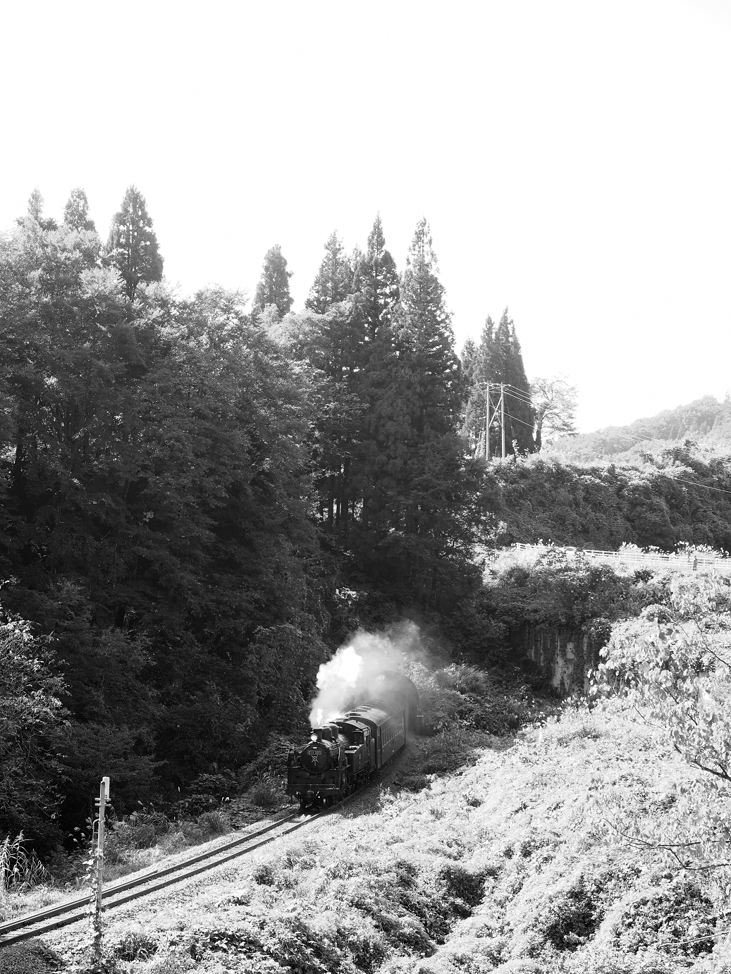 PA190121.jpg
