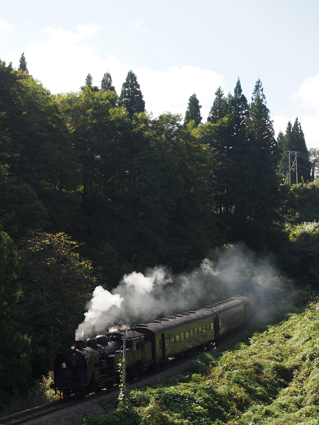 PA190128.jpg