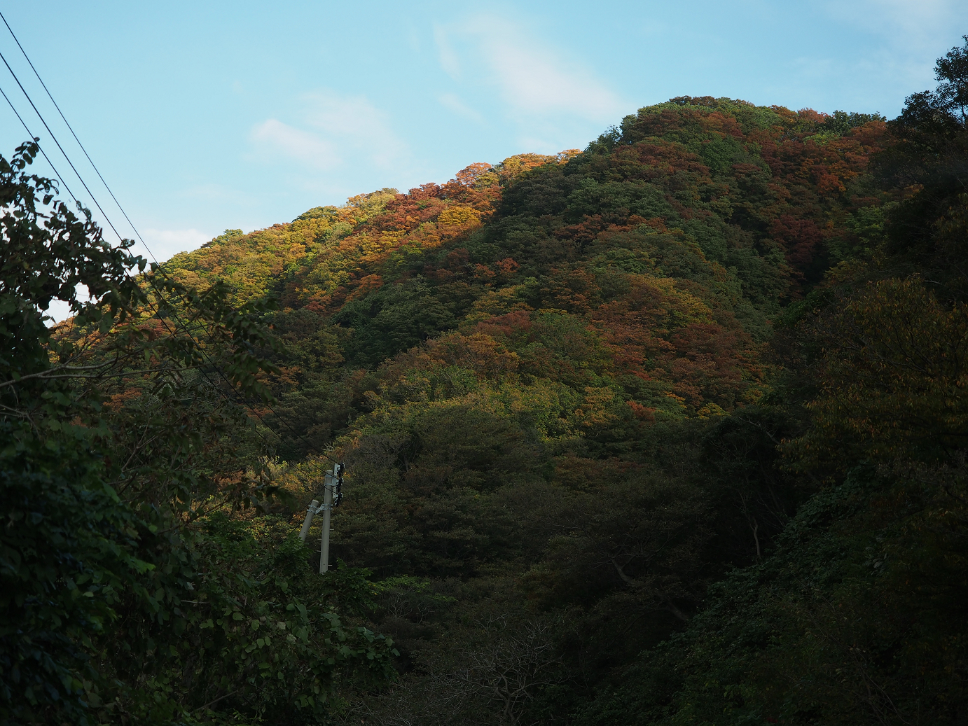 PA190160.jpg