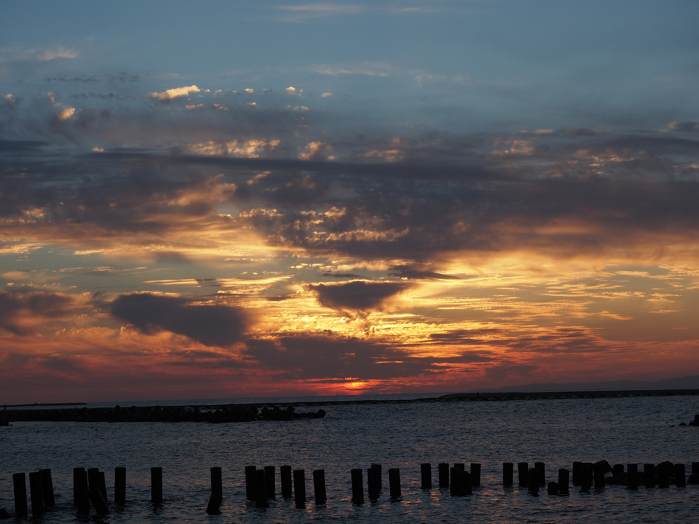 PA190177.jpg