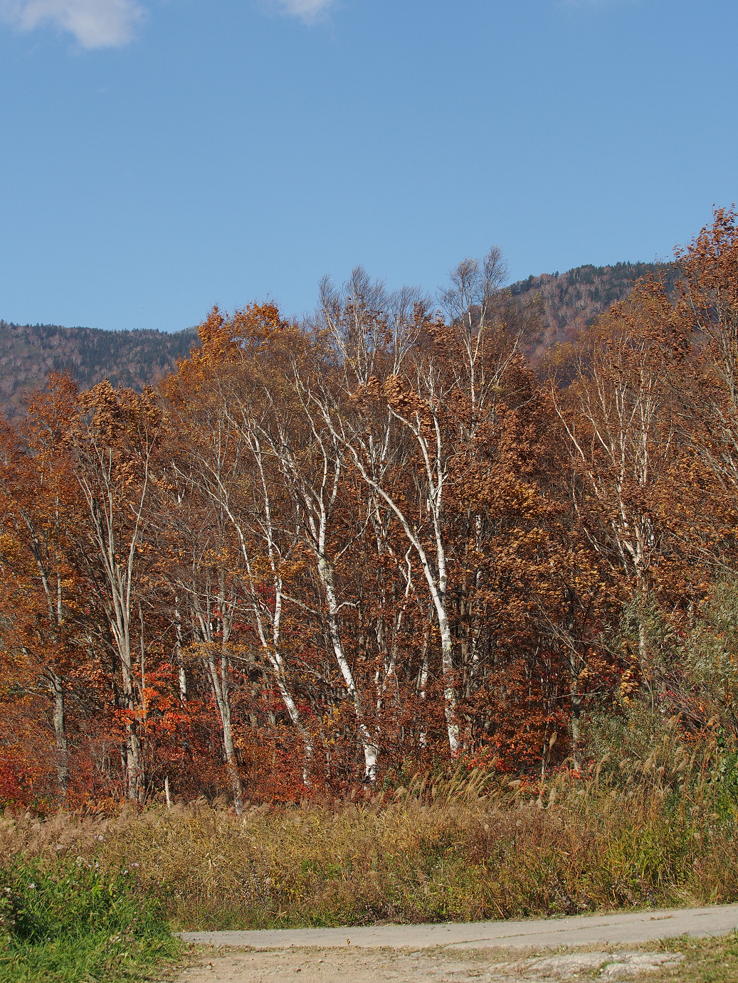 PA200200.jpg