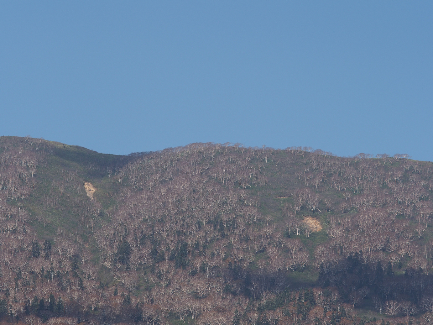 PA200211.jpg