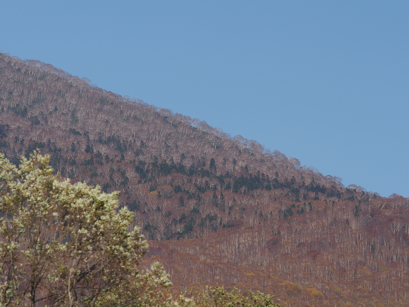 PA200212.jpg