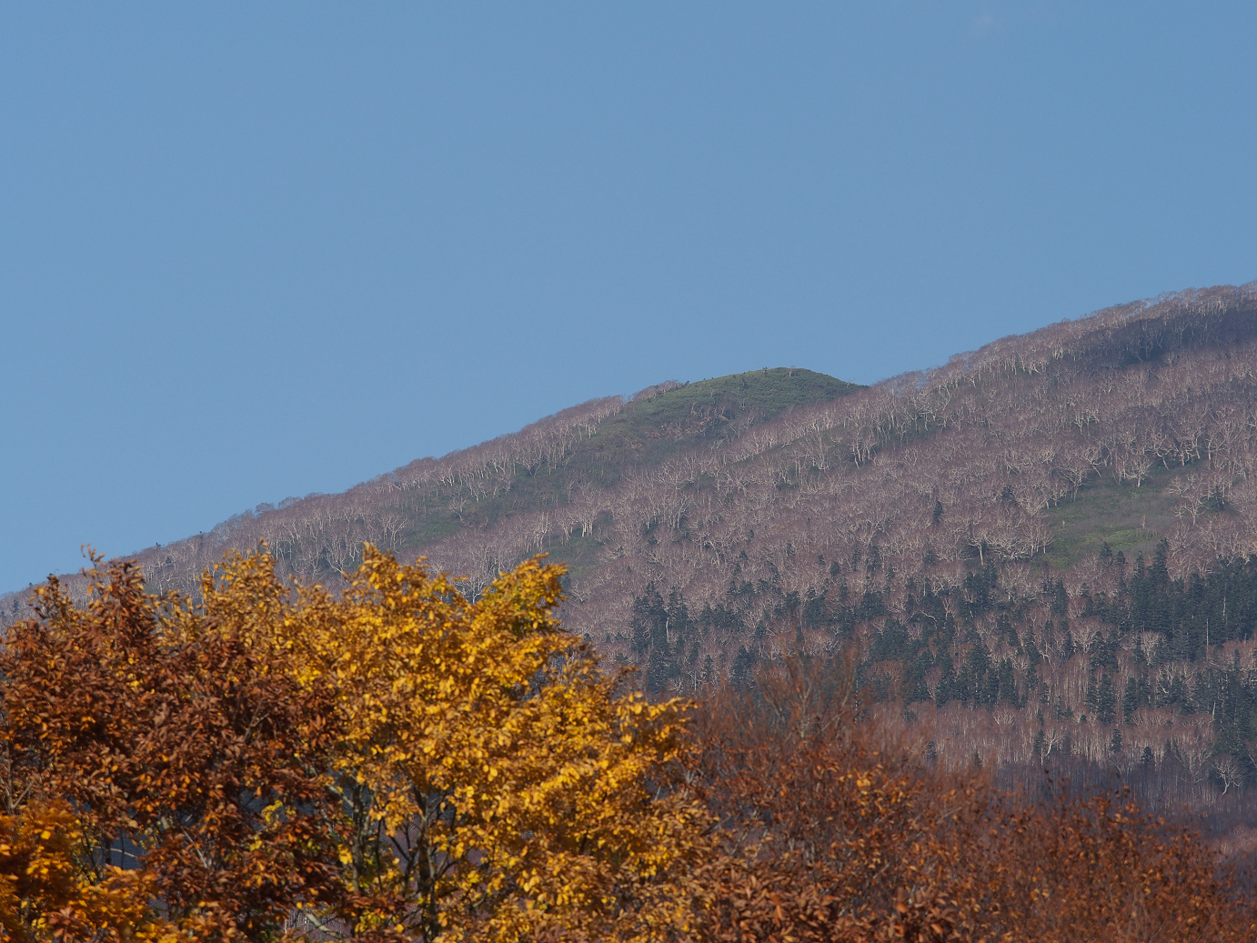 PA200213.jpg