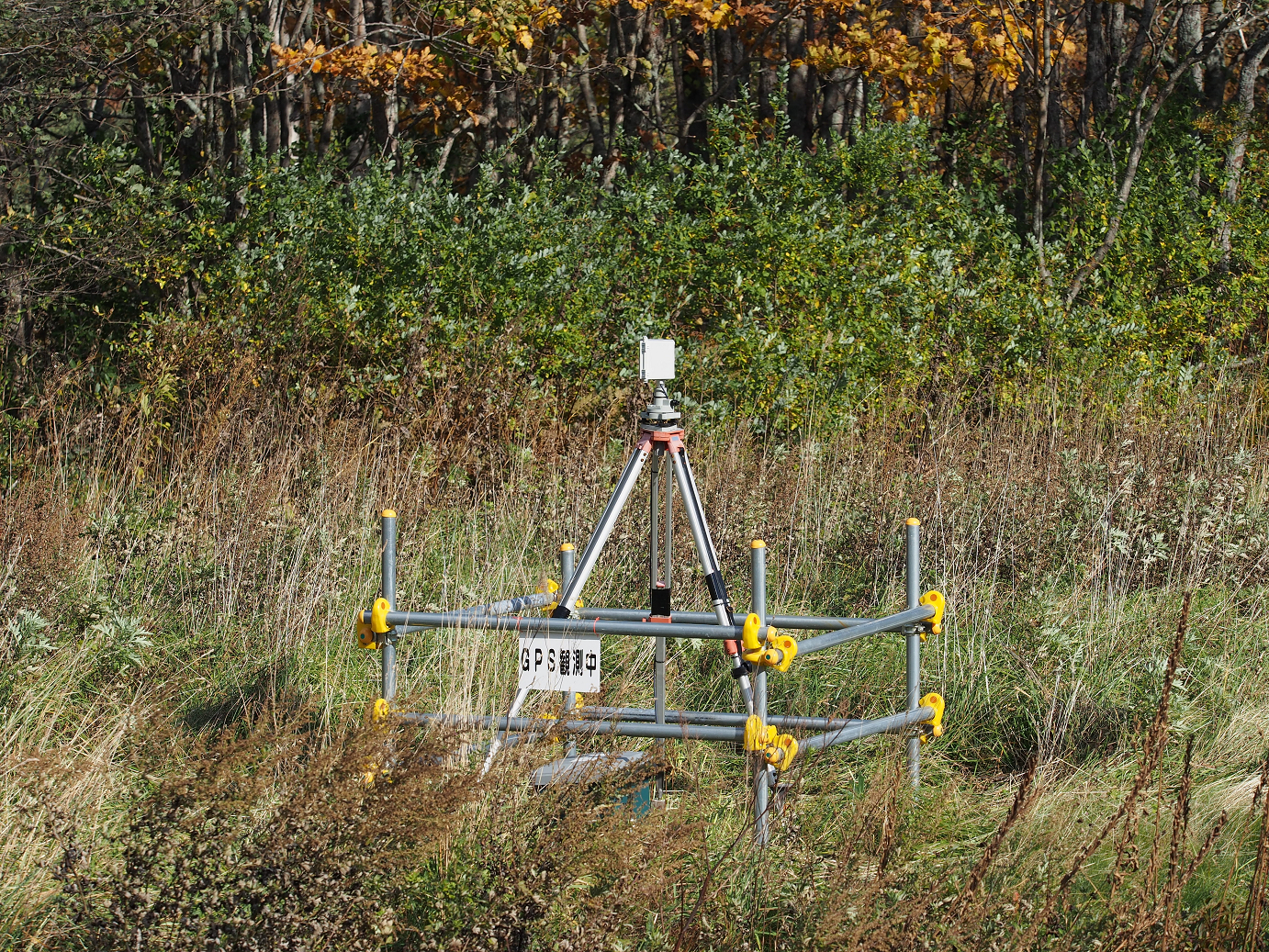 PA200214.jpg