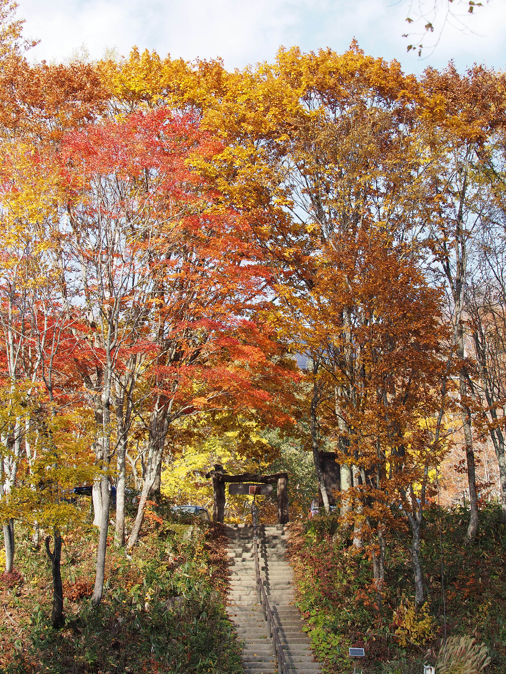 PA200215.jpg