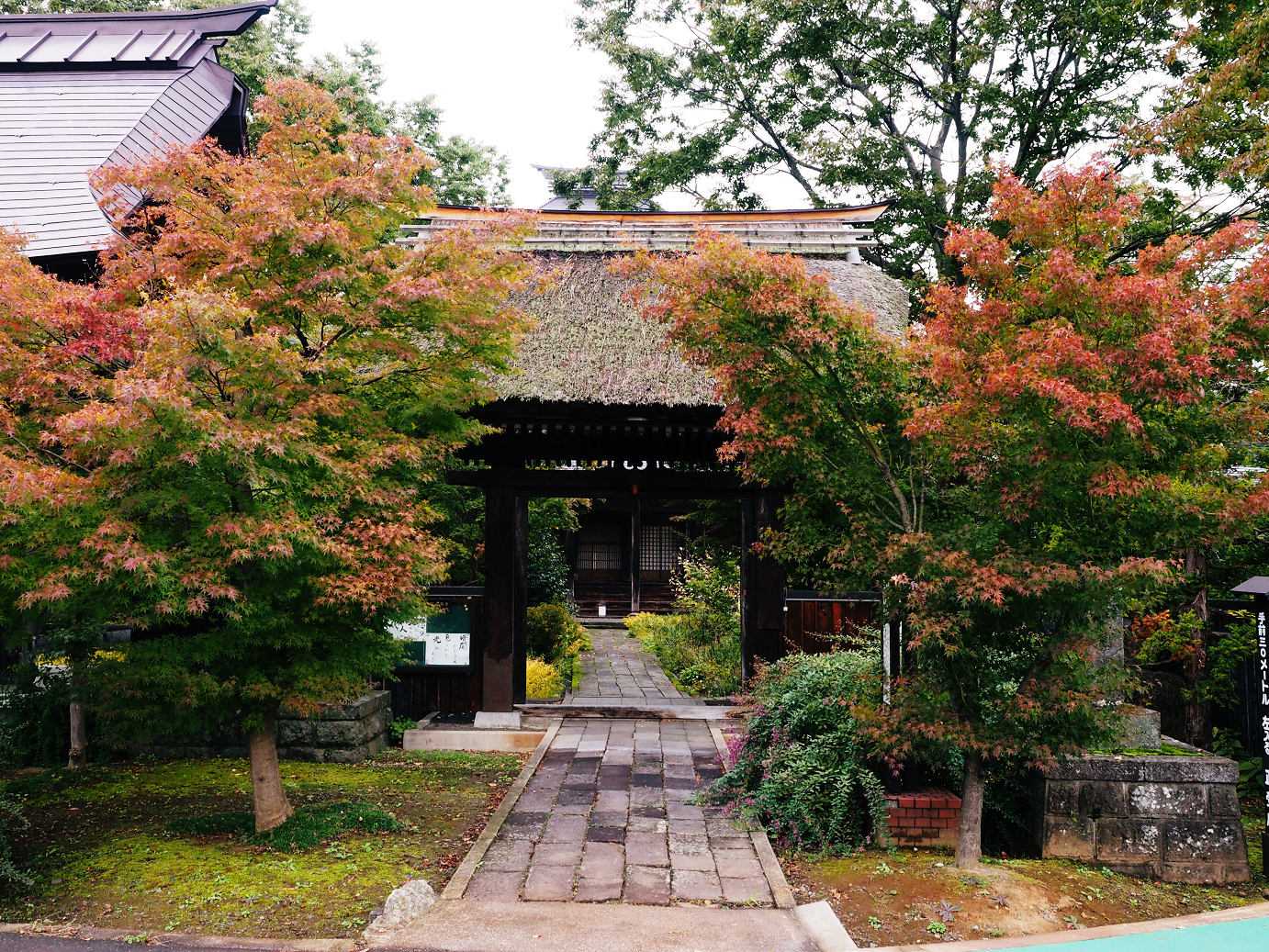 PA190048.jpg