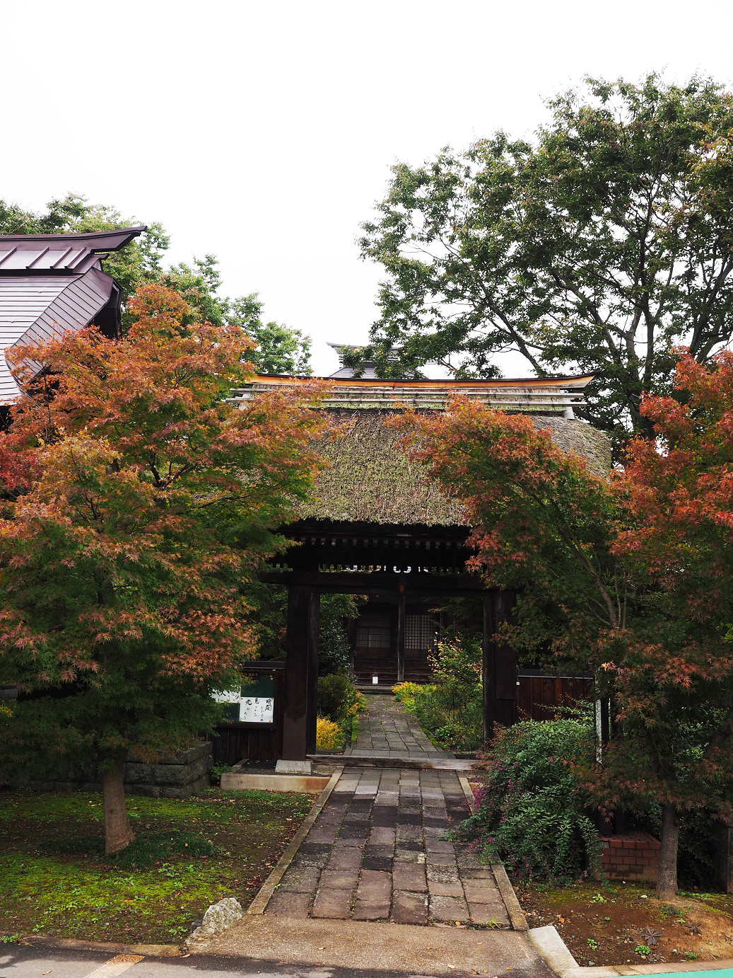 PA190049.jpg