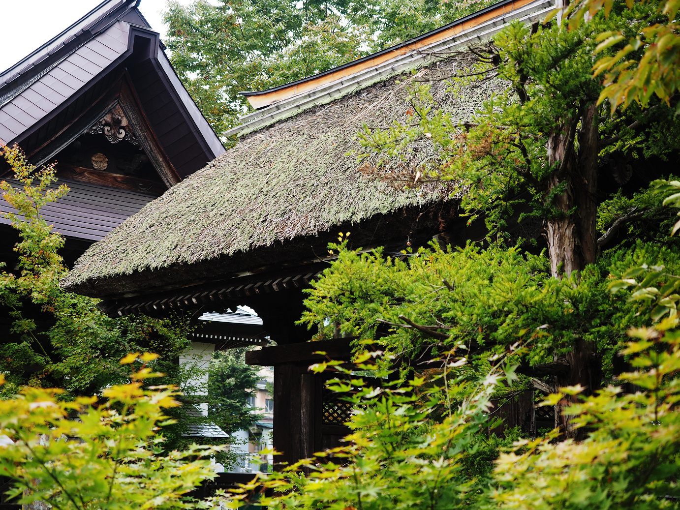 PA190052.jpg