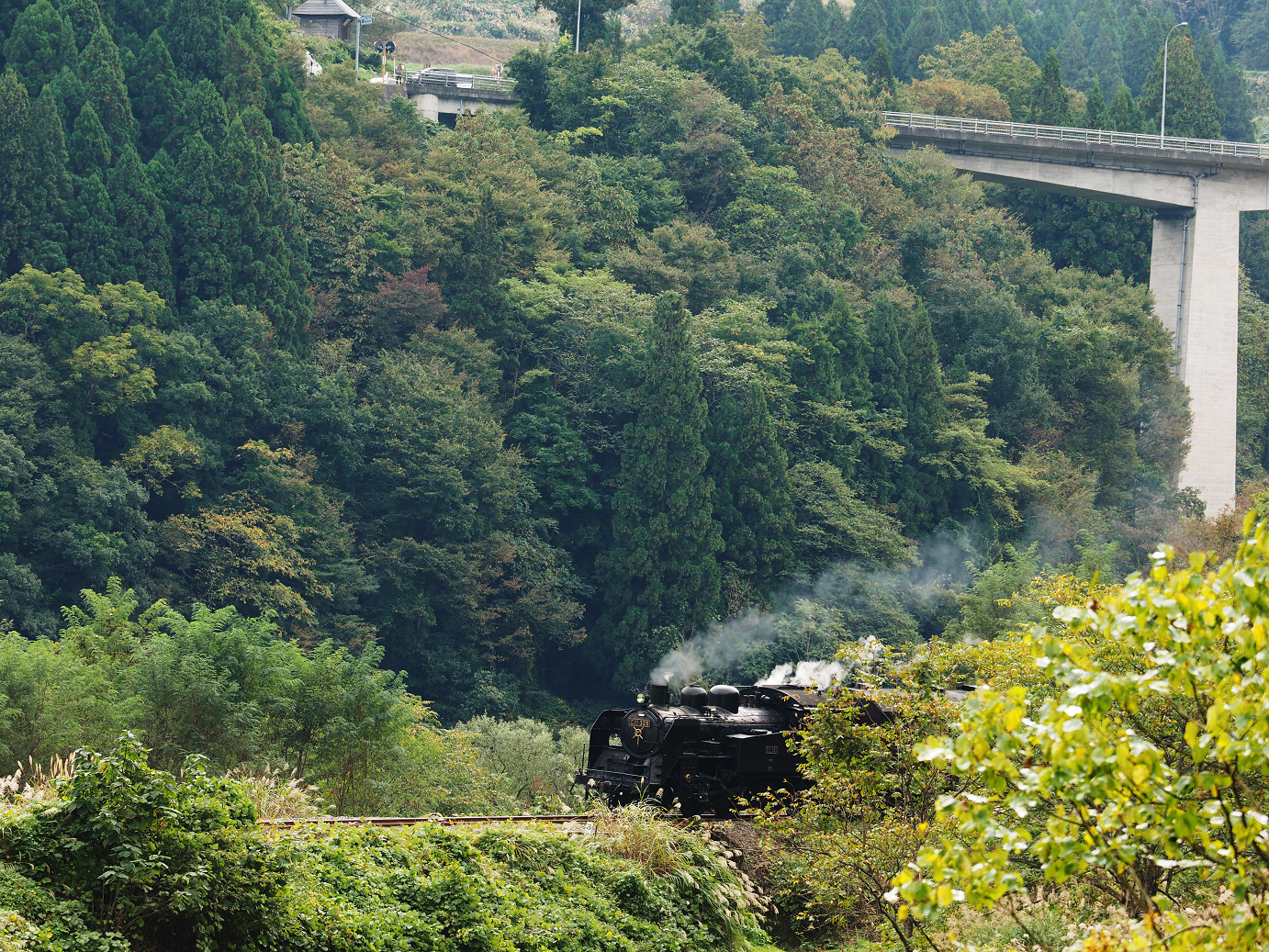 PA190086.jpg
