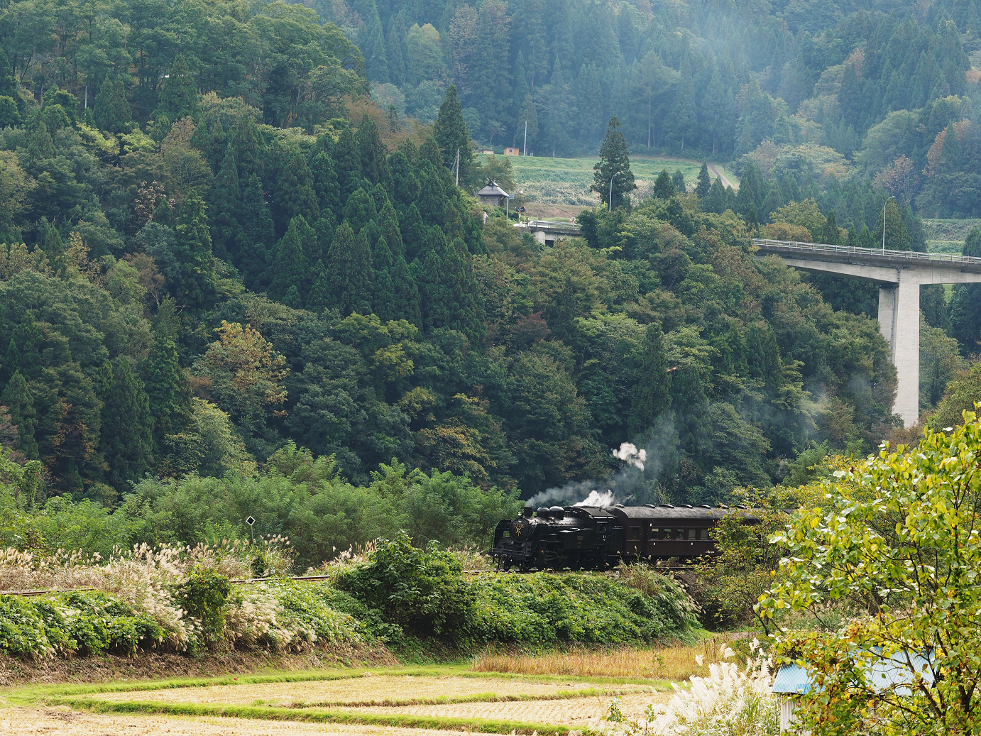 PA190089.jpg