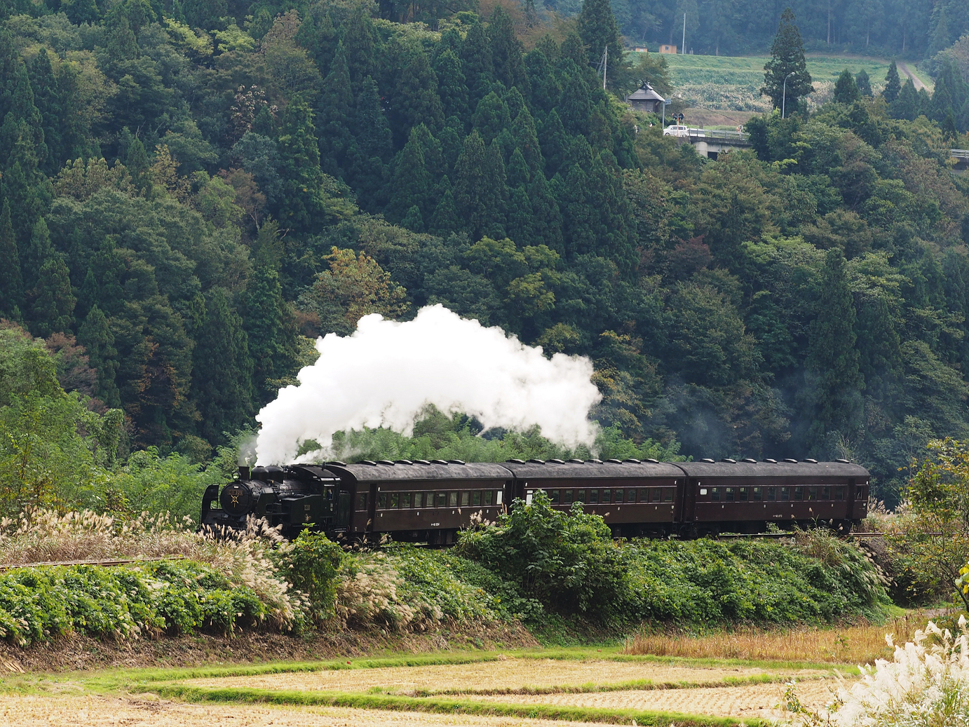 PA190092.jpg