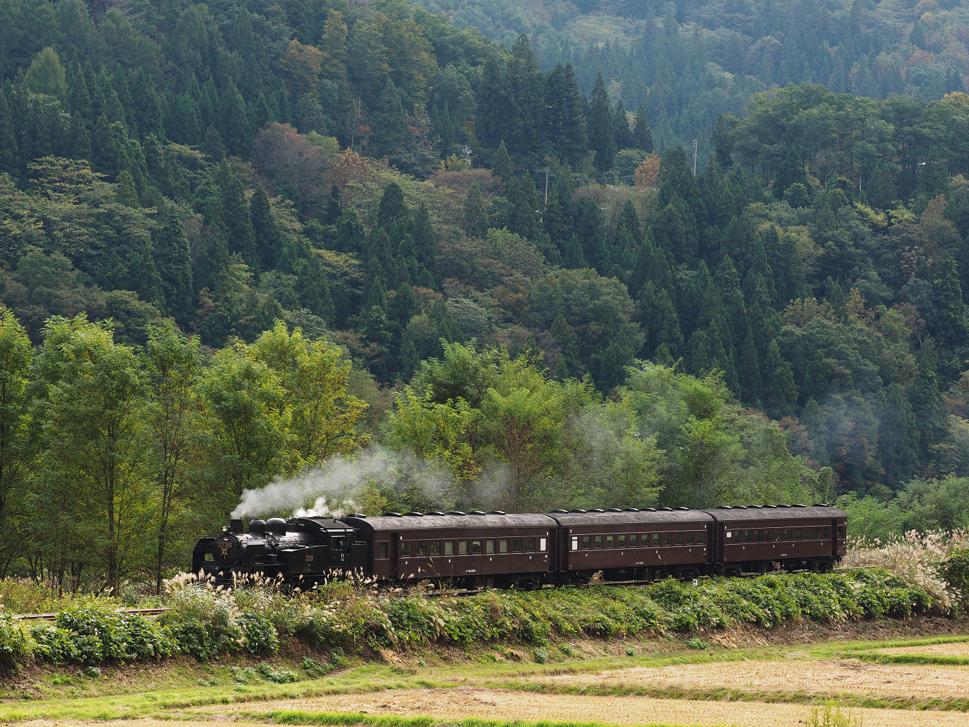 PA190099.jpg