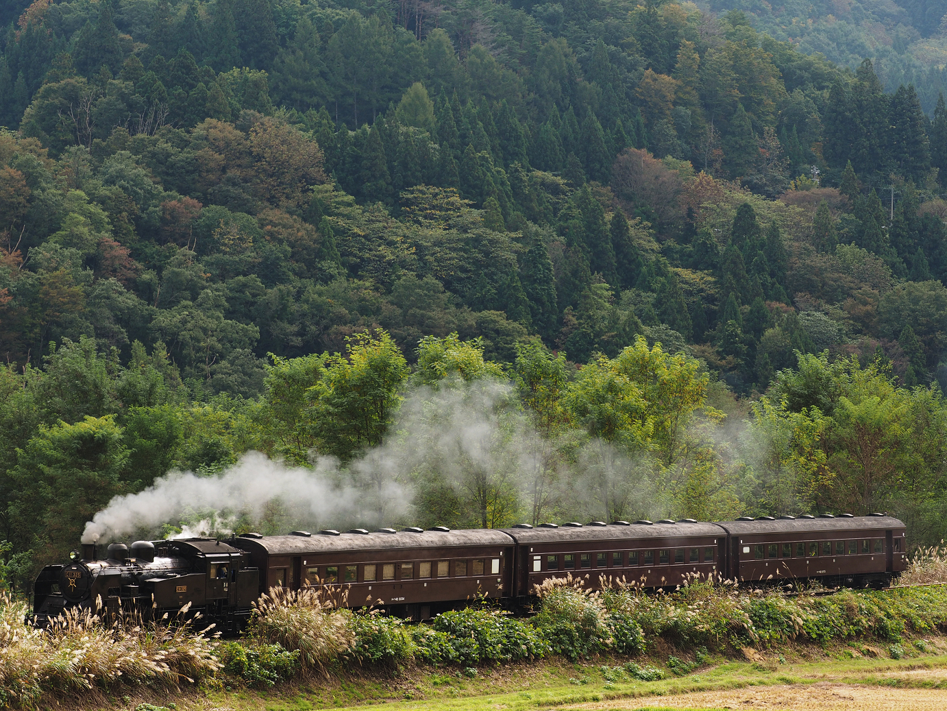 PA190102.jpg