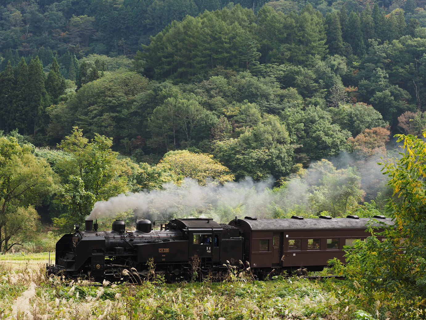 PA190104.jpg