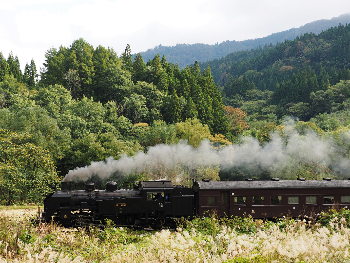 PA190116.jpg