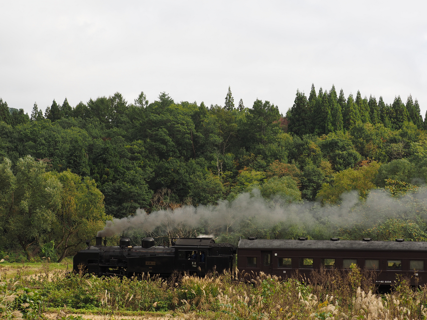 PA190121.jpg