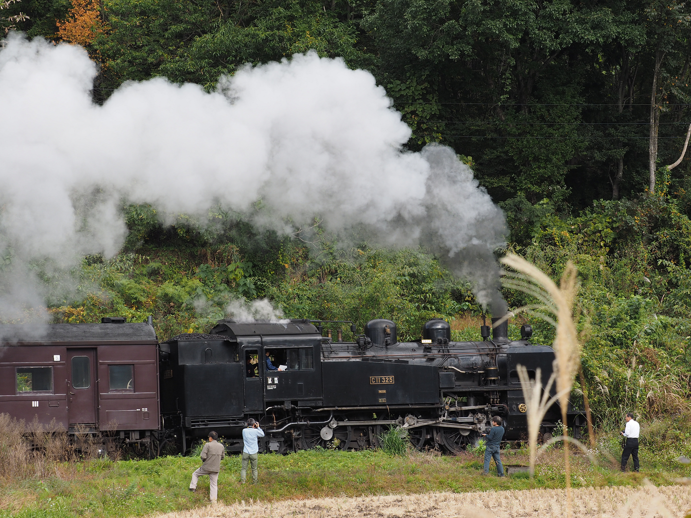 PA190148.jpg