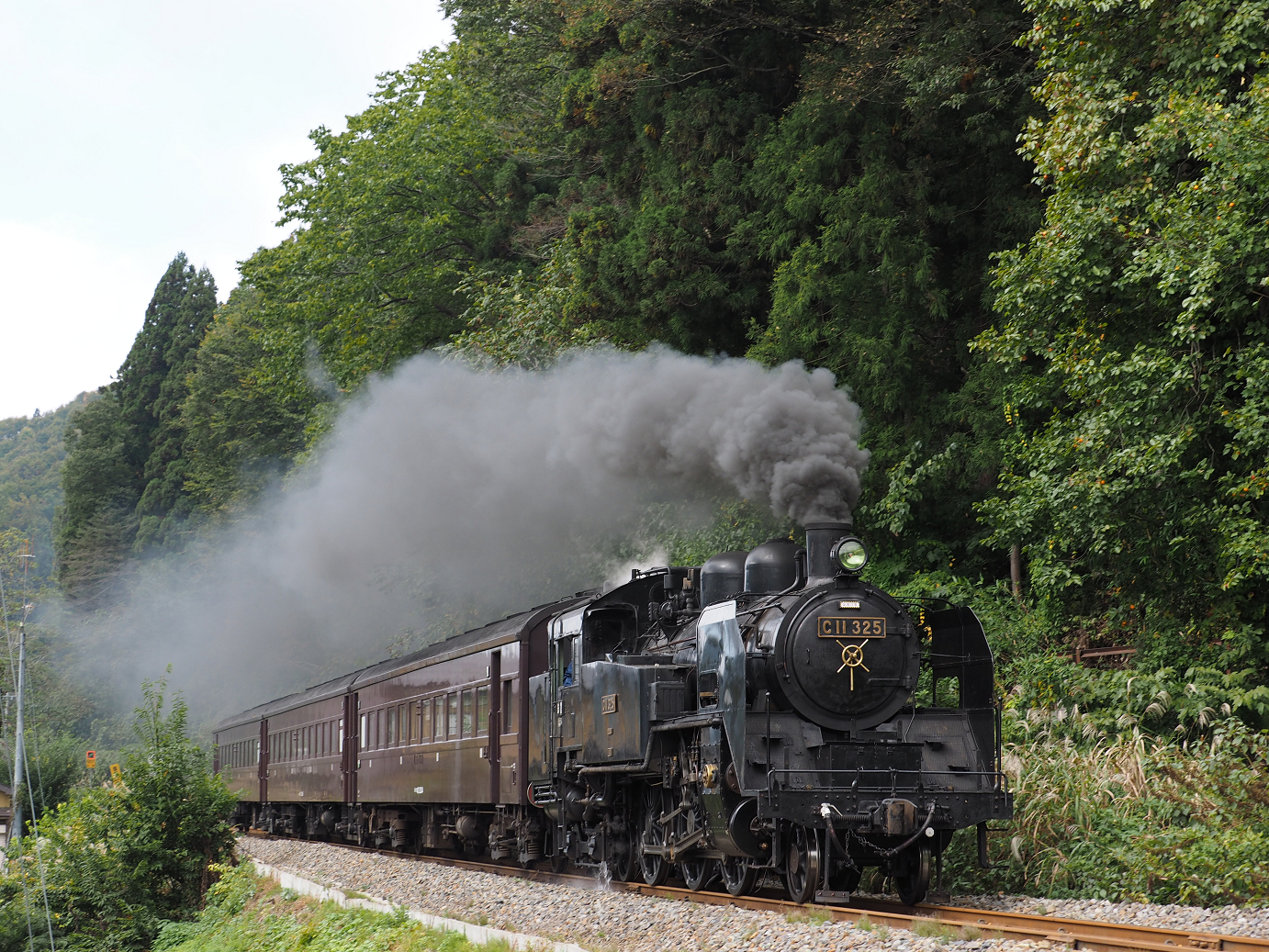 PA190152.jpg