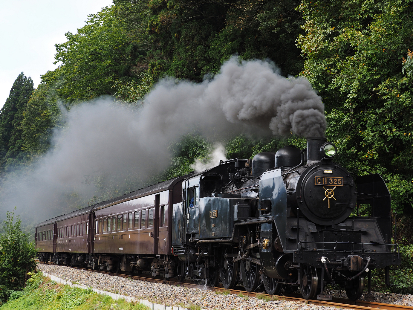 PA190161.jpg