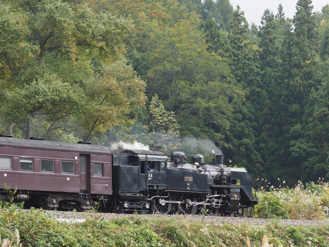 PA190166.jpg