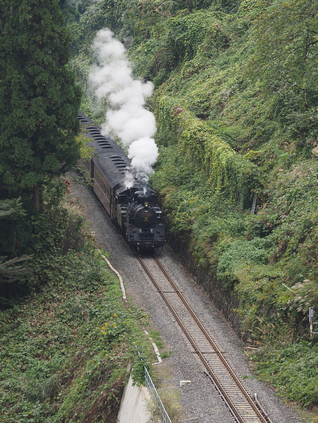PA190178.jpg