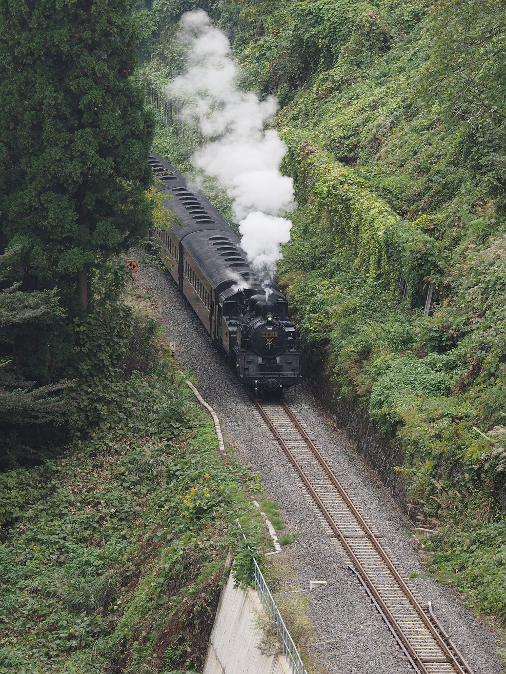 PA190184.jpg