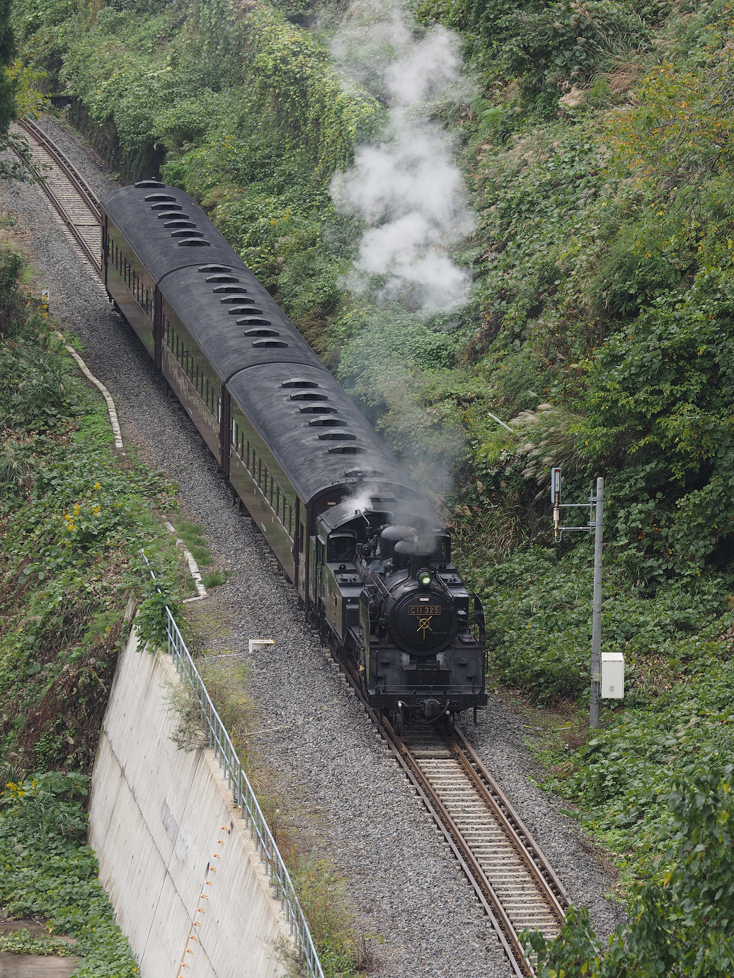 PA190195.jpg