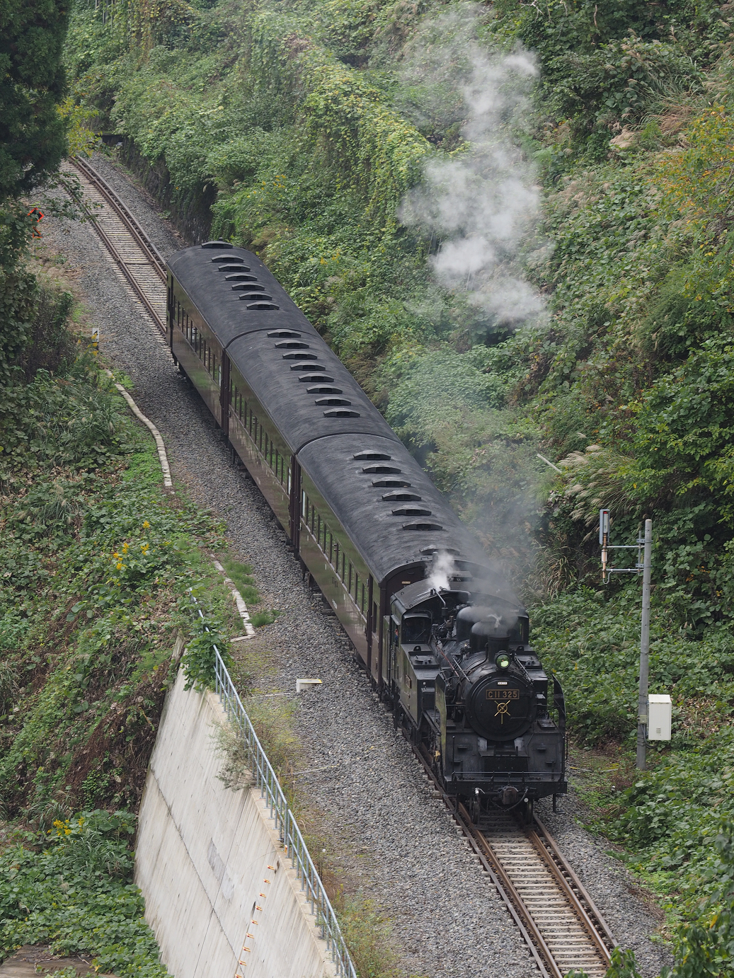 PA190201.jpg